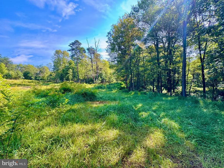 Lot: 2 Paradise Point, James Creek, PA 16657 - #2