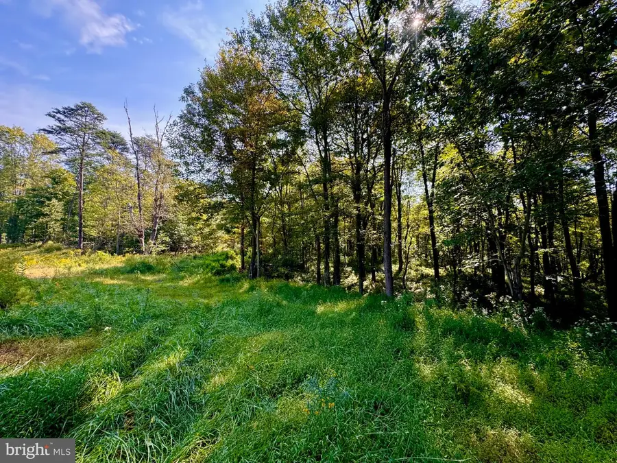 Lot: 2 Paradise Point, James Creek, PA 16657 - #3