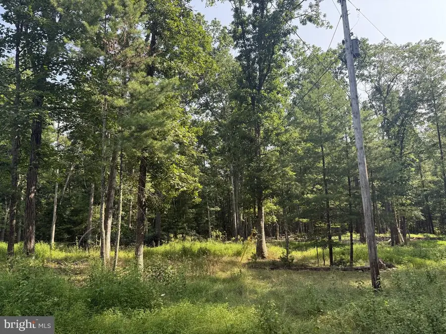 10880 Pine Thistle Rd, Huntingdon, PA 16652 - #2