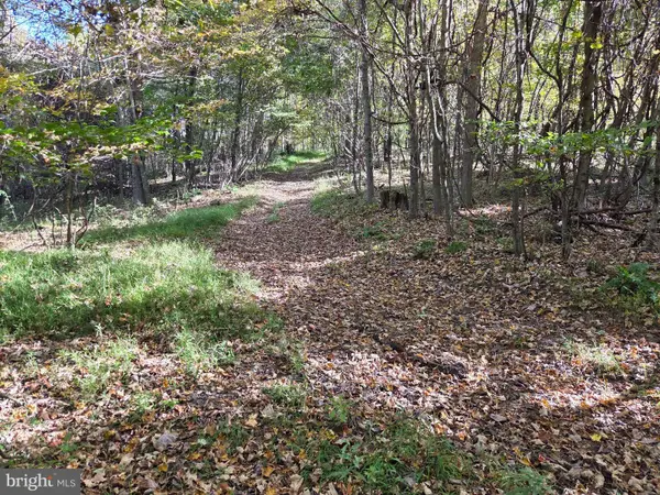 00 Black Walnut Rd, COMMODORE, PA 15729