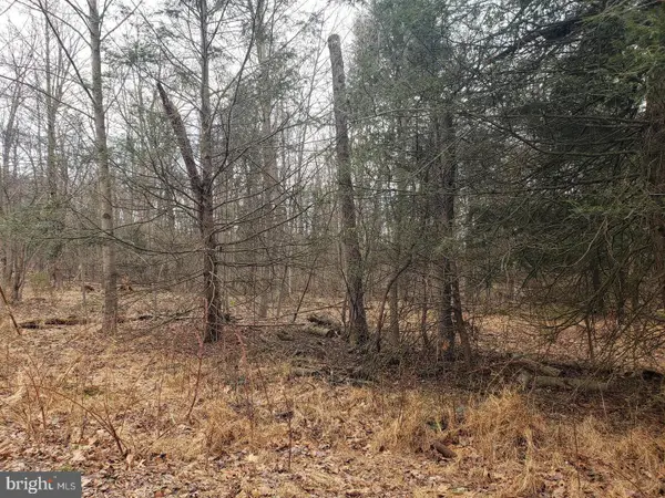 Lot 4 Eagle Ln, PORT ROYAL, PA 17082
