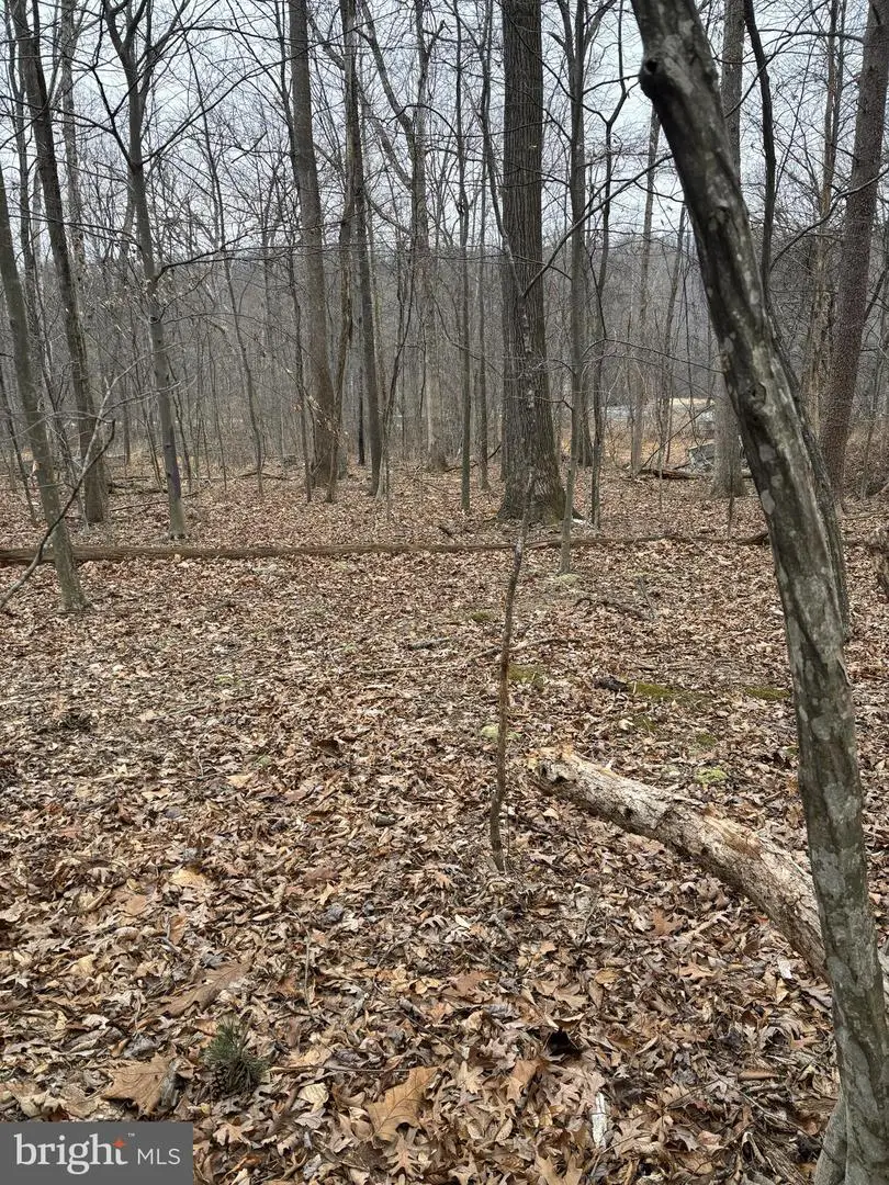 5924 Rt 75 S, East Waterford, PA 17021 - Image #2