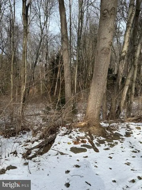 204 Canterbury Ct, Nottingham, PA 19362 - #2