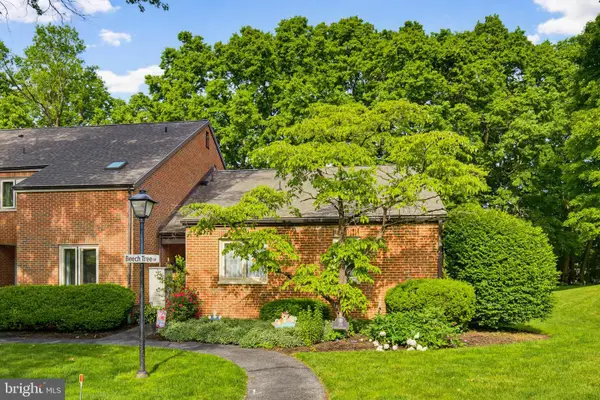 20 Beechtree Ln, MOUNTVILLE, PA 17554