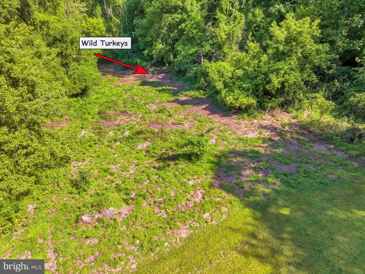 Millersville Pike, Lancaster, PA 17603 - #1