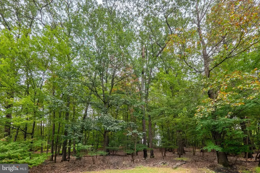 2550 Ballybunion, Center Valley, PA 18034 - Image #2