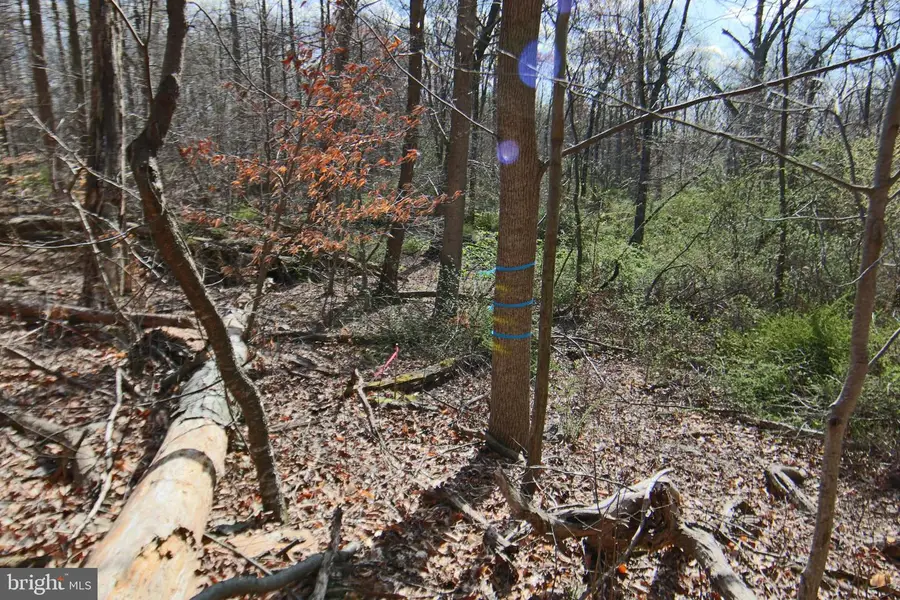 #2