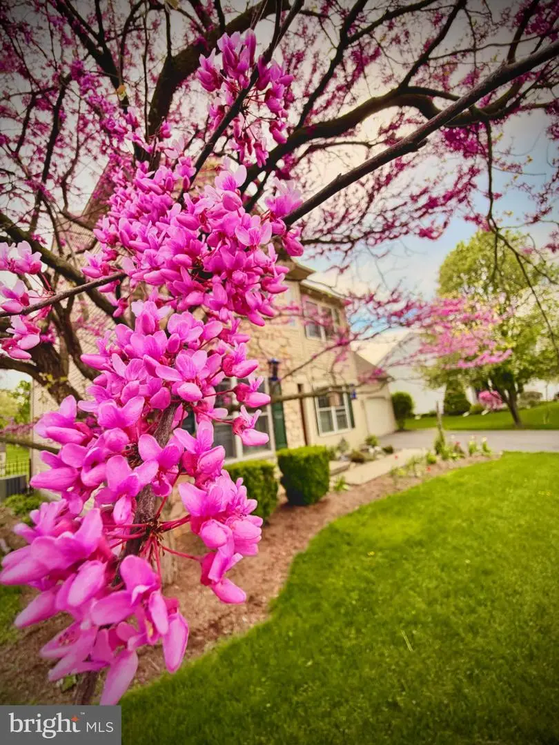 14 Manor Cir, Palmyra, PA 17078 - #3