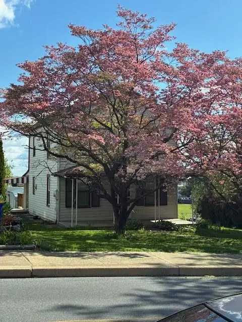 29 W Main St, Richland, PA 17087 - #2