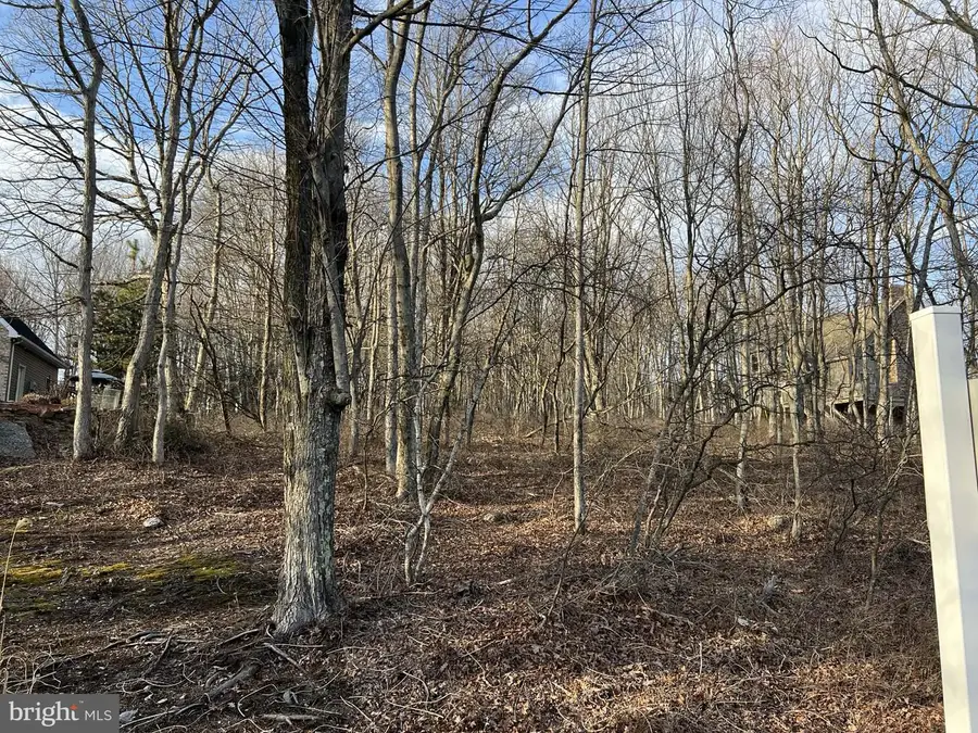 44 E Players Way, Hazleton, PA 18202 - #2