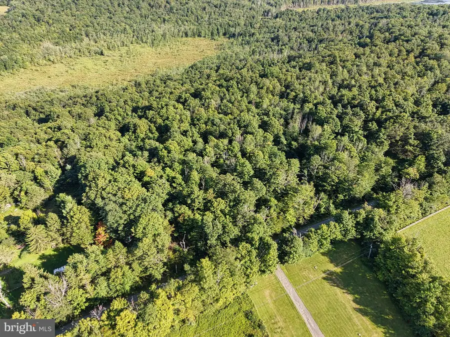 0 Creamery Rd, Jermyn, PA 18433 - #2