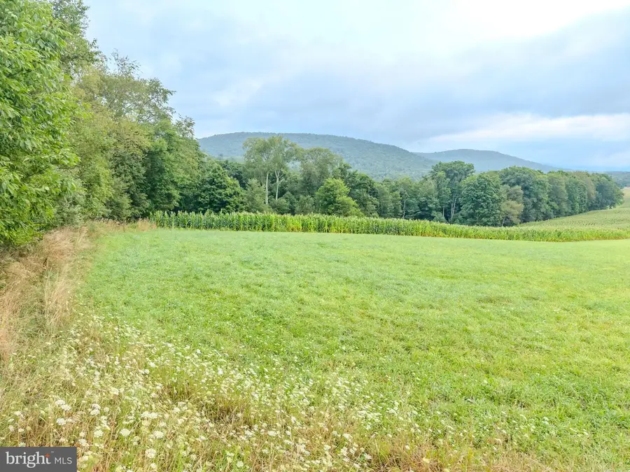 00 Rose Valley Rd, Trout Run, PA 17771 - #3