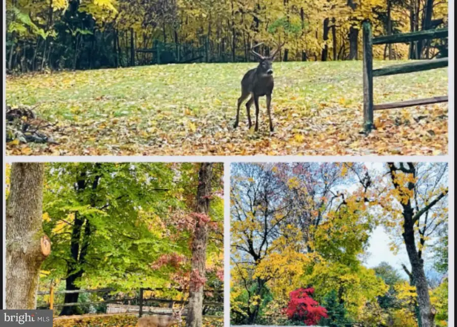 919 Laburnum Ln, Wyncote, PA 19095 - Image #2