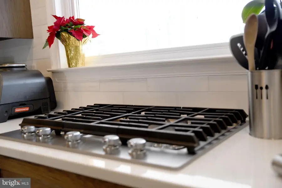 546 Locust St, Collegeville, PA 19426 - #3