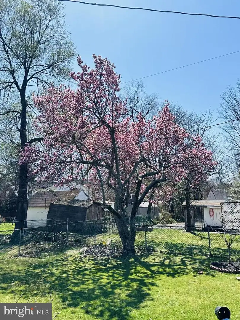 556 Anne St, Huntingdon Valley, PA 19006 - #1