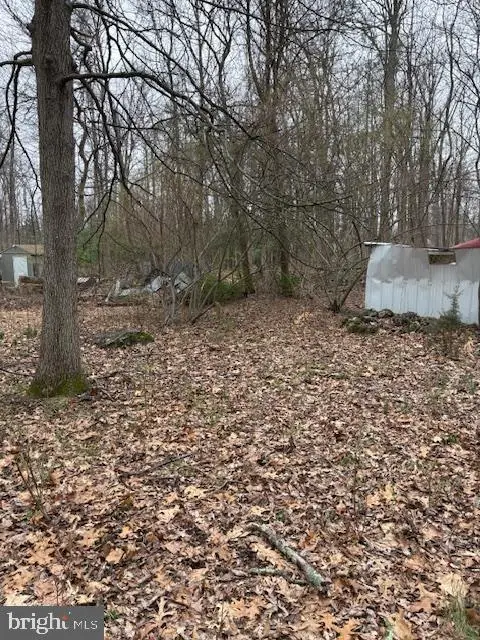 1716 Snyder Rd, Green Lane, PA 18054 - #2