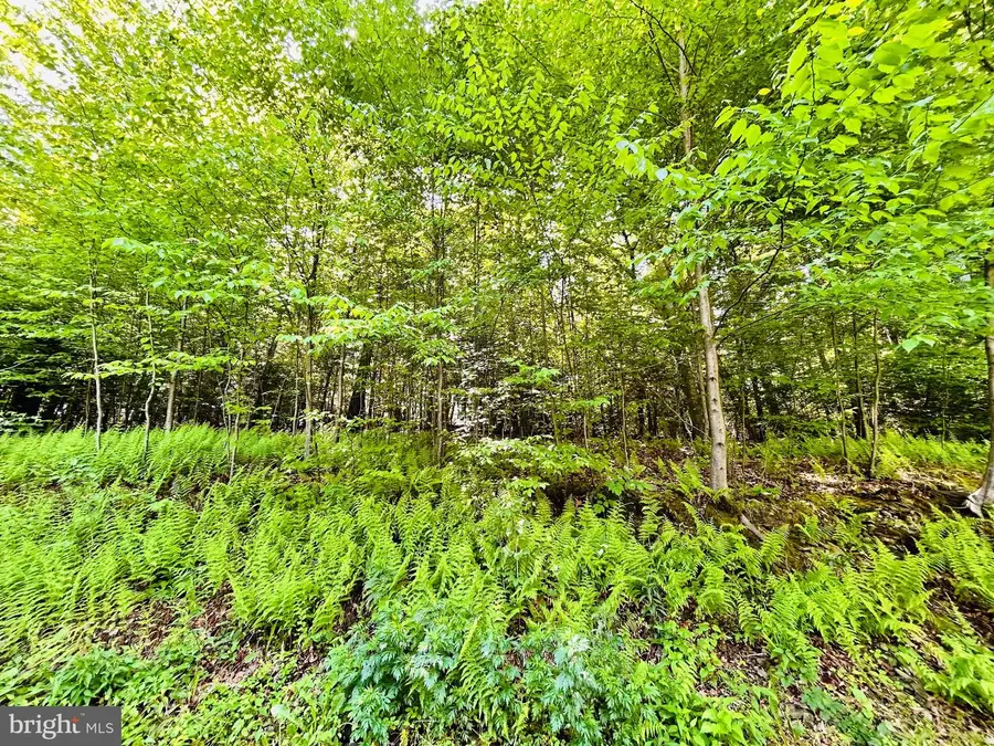 396 Whiskey Rd, McClure, PA 17841 - #3