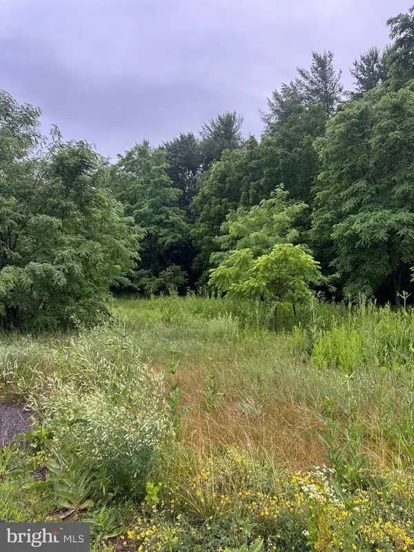 Old Us Highway 322 #lot 4, MILROY, PA 17063