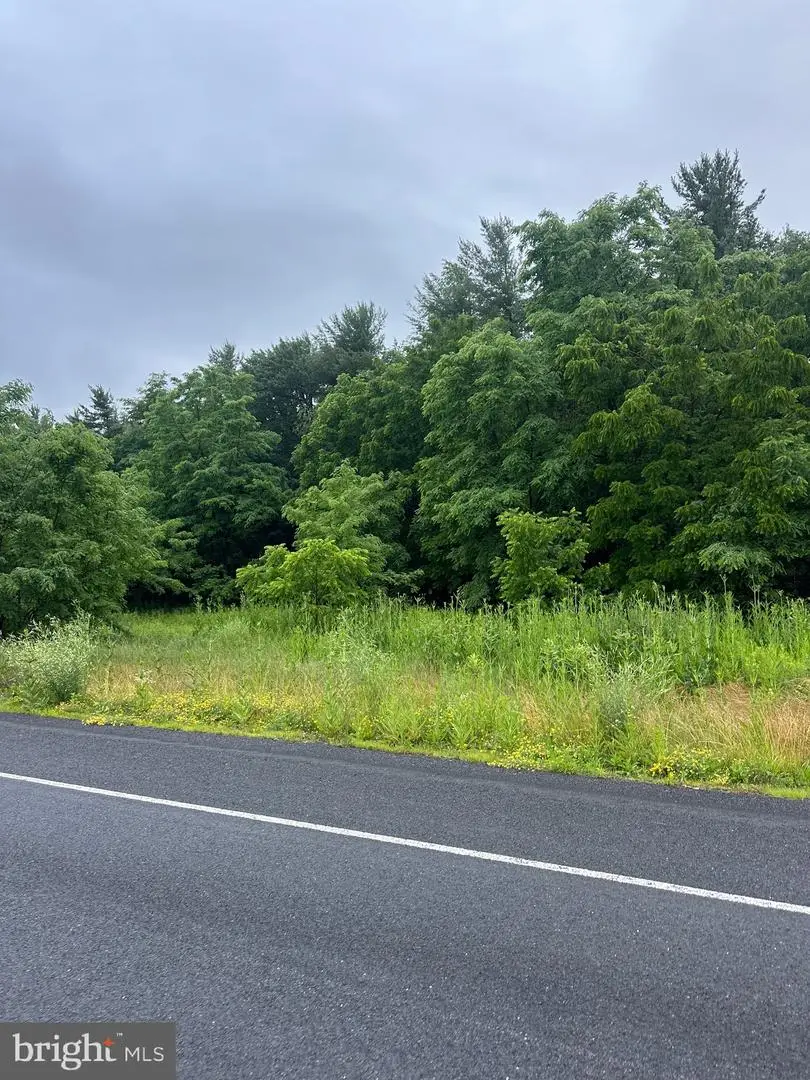 Old Us Highway 322 #lot 4, Milroy, PA 17063 - #2