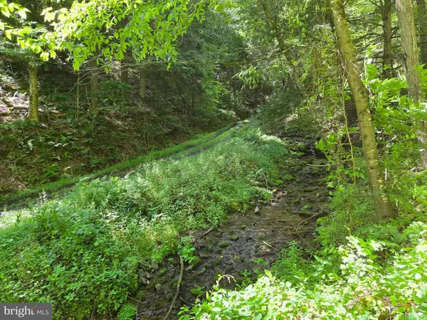 00 Carlisle Gap Rd, LEWISTOWN, PA 17044