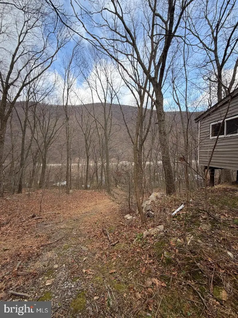 144 Hawsbrick Street Lot 51, Lewistown, PA 17044 - #2