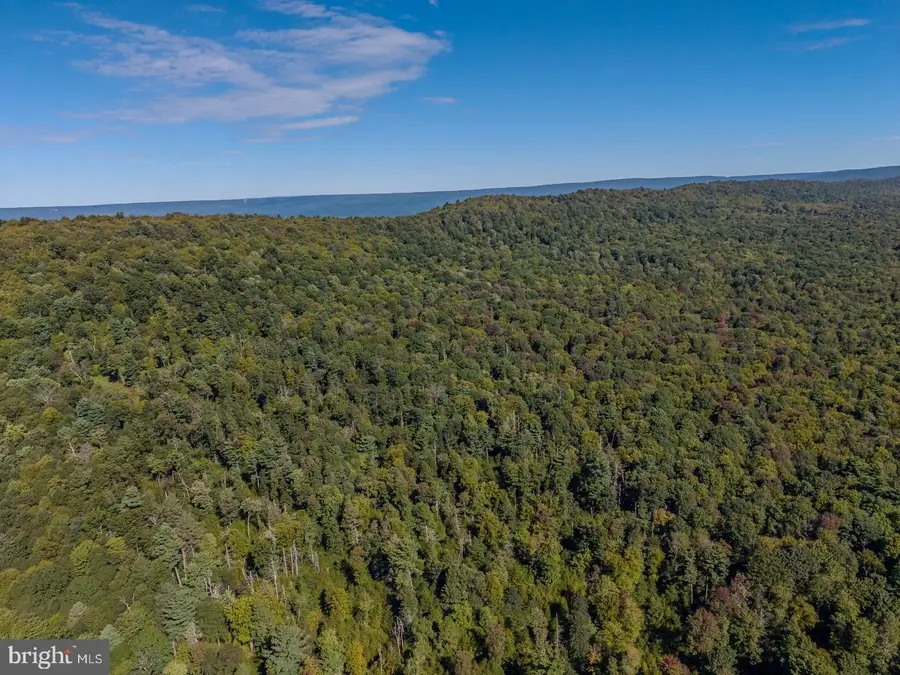 00 Copeland Spring Trl #parcel 4, Allensville, PA 17002 - #2