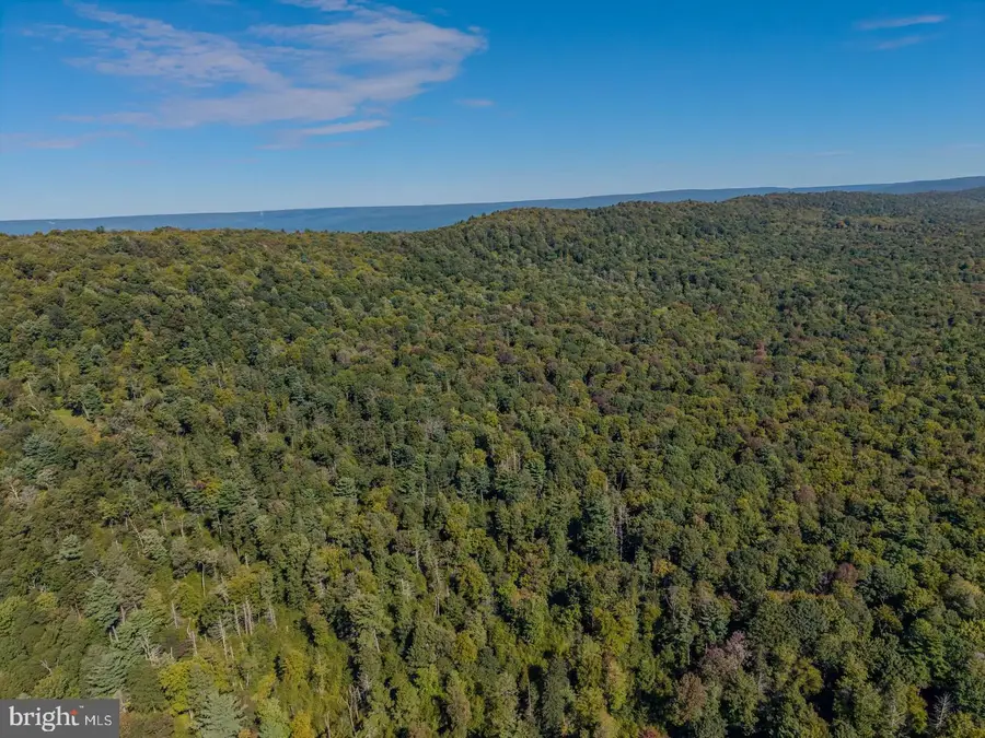00 Copeland Spring Trl #parcel 4, Allensville, PA 17002 - #3