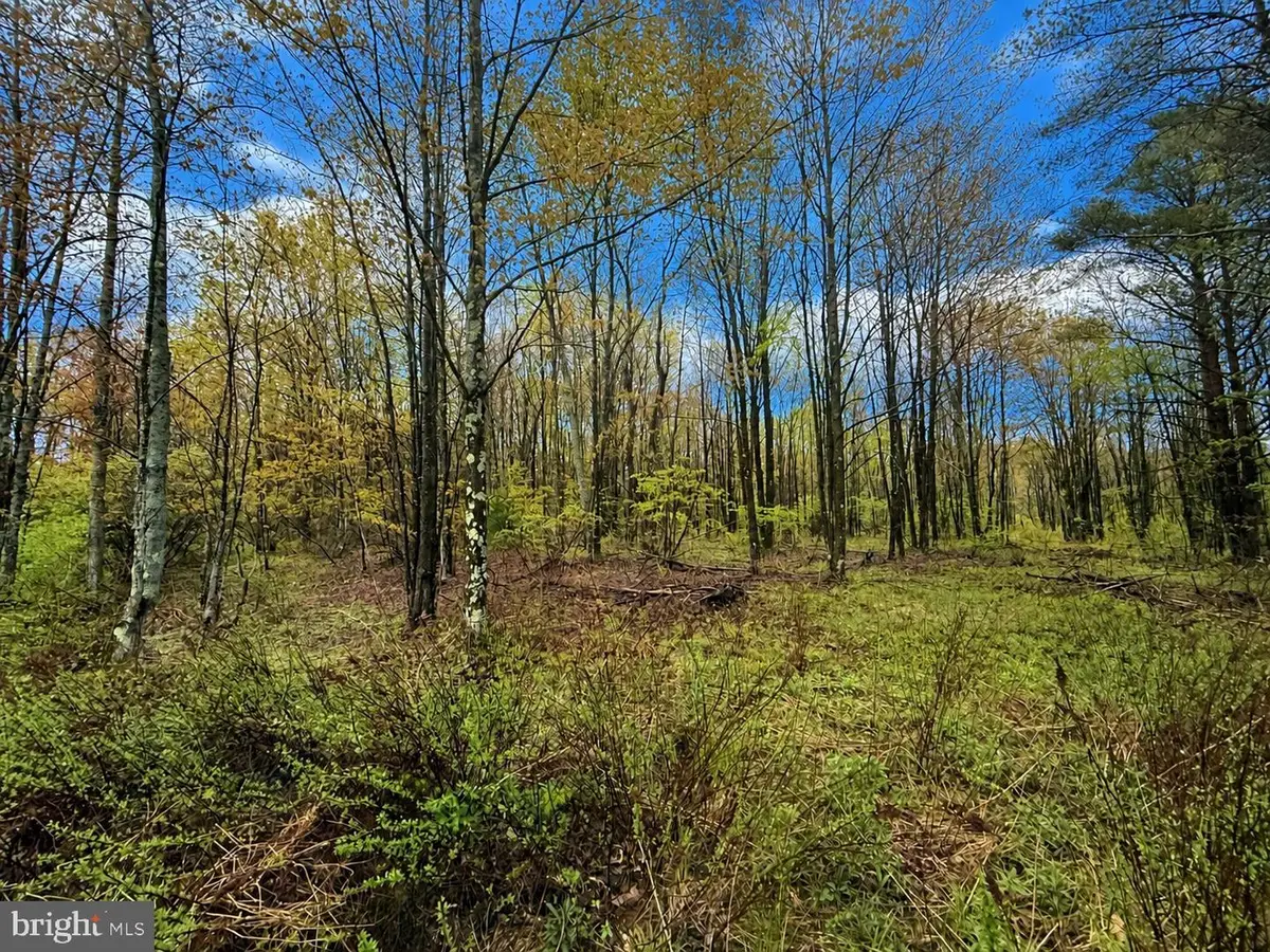 Grandview Road, Kane, PA 16735 - #1