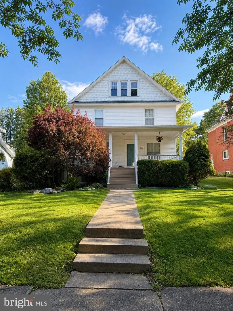 313 Pine Ave, Kane, PA 16735 - #2