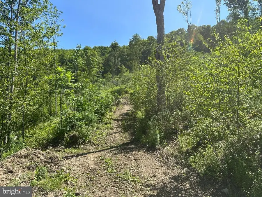 000 State Route 6, Smethport, PA 16749 - #2