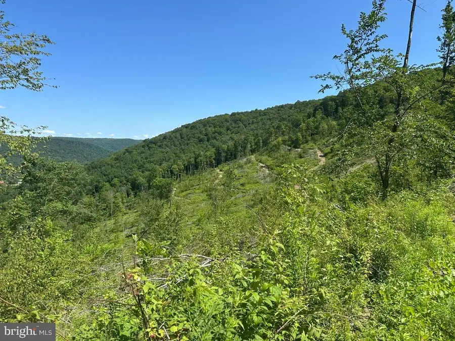 000 State Route 6, Smethport, PA 16749 - #3