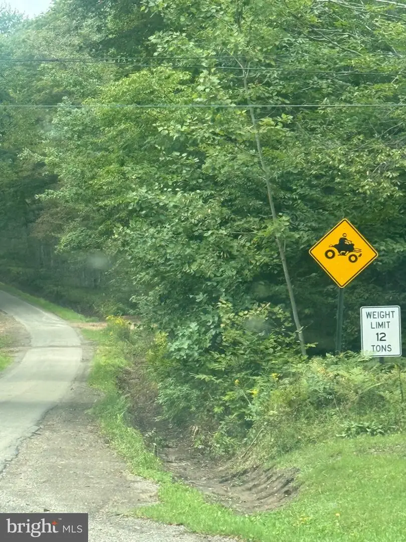 0 Mt. Alton Rd, Lewis Run, PA 16738 - #2