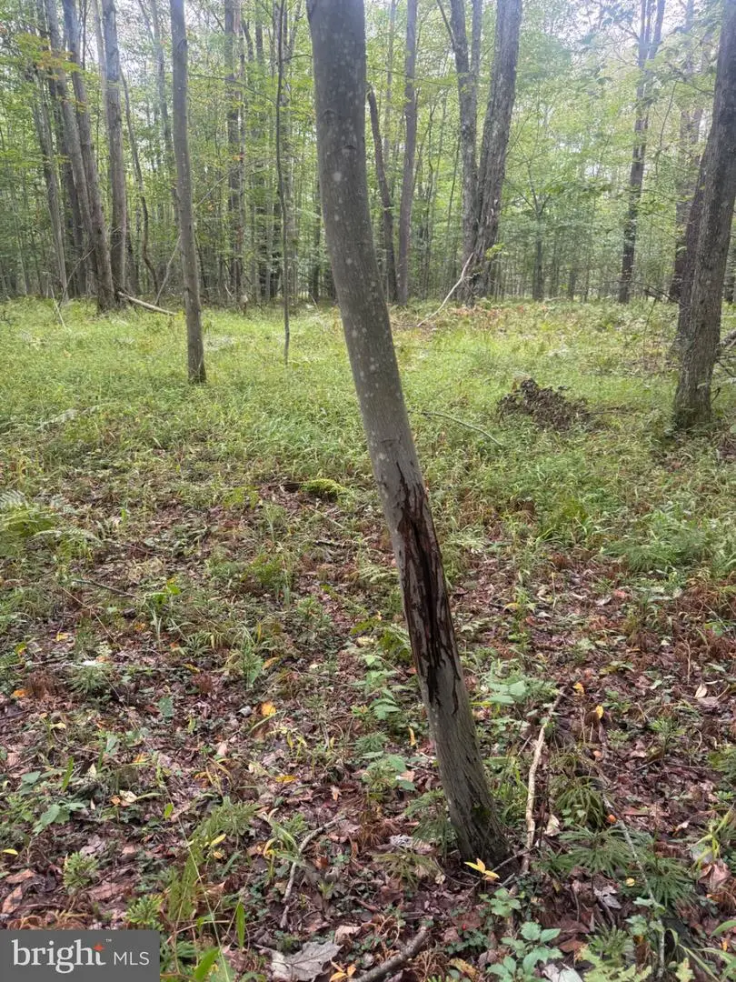 0 Mt. Alton Rd, Lewis Run, PA 16738 - #3