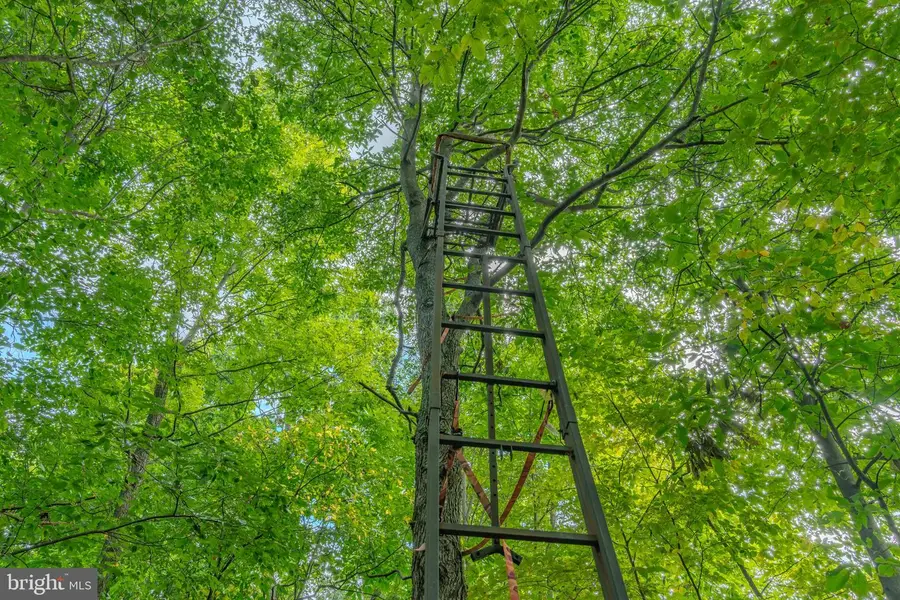 00 Sugar Camp Rd, Danville, PA 17821 - #3