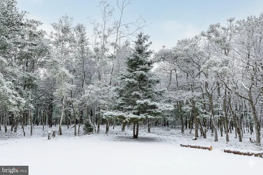 177 Elmwood Dr, Albrightsville, PA 18210 - #3