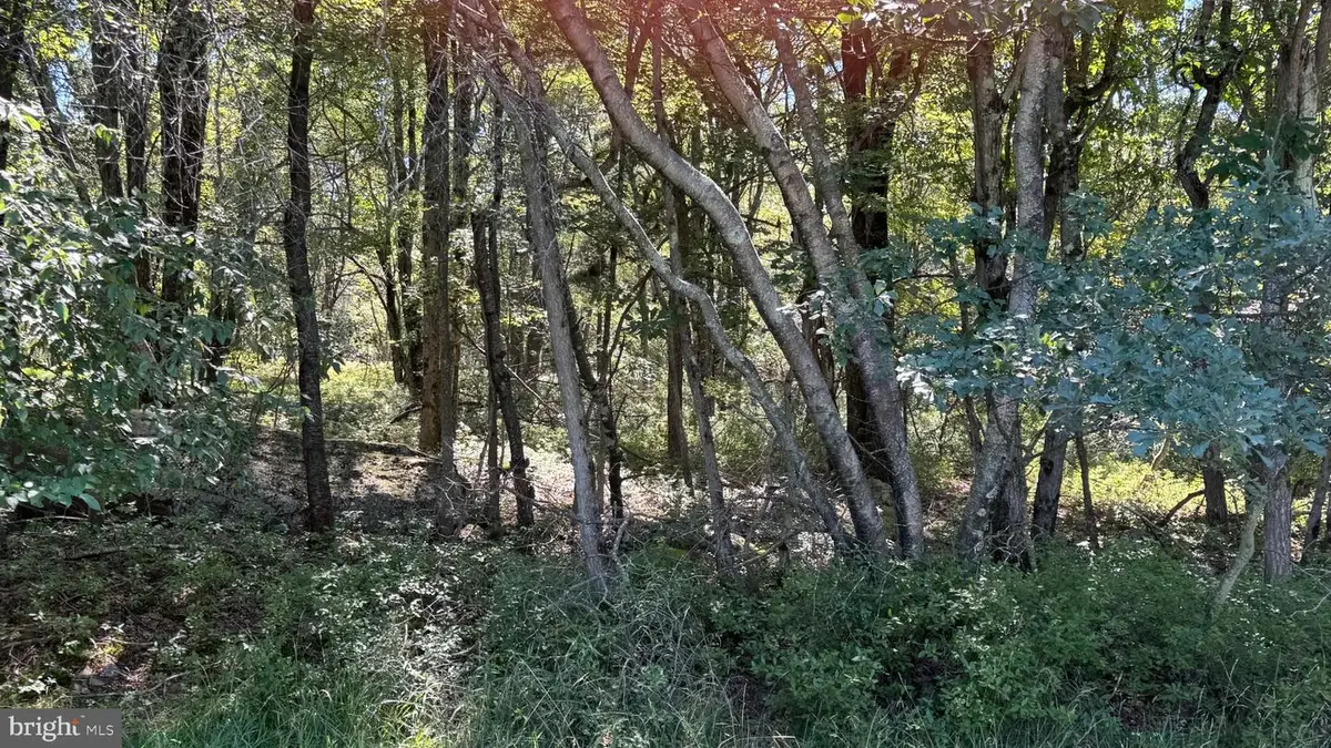 Lot 45 Elk Dr, Blakeslee, PA 18610 - #1