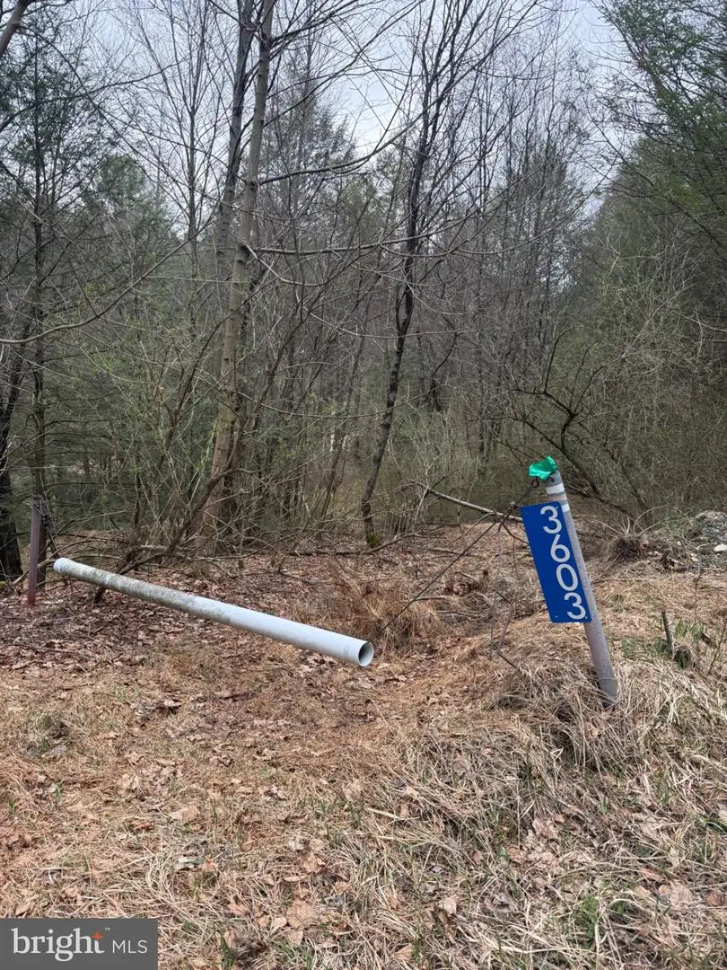 3603 Lakewood Dr, Saylorsburg, PA 18353 - #1