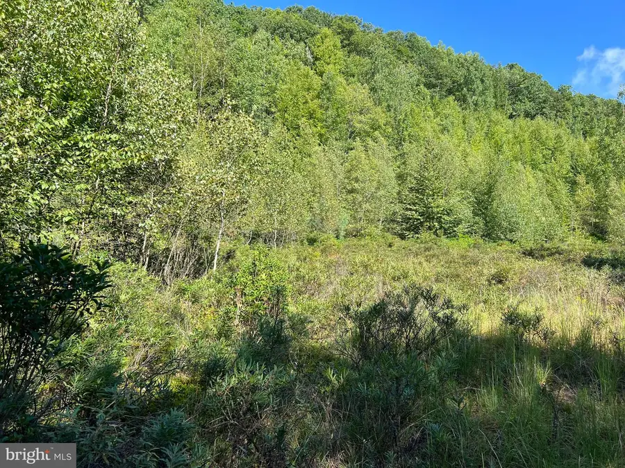 0 Lower Mountain Drive Lower Mountain Drive, Effort, PA 18330 - #3