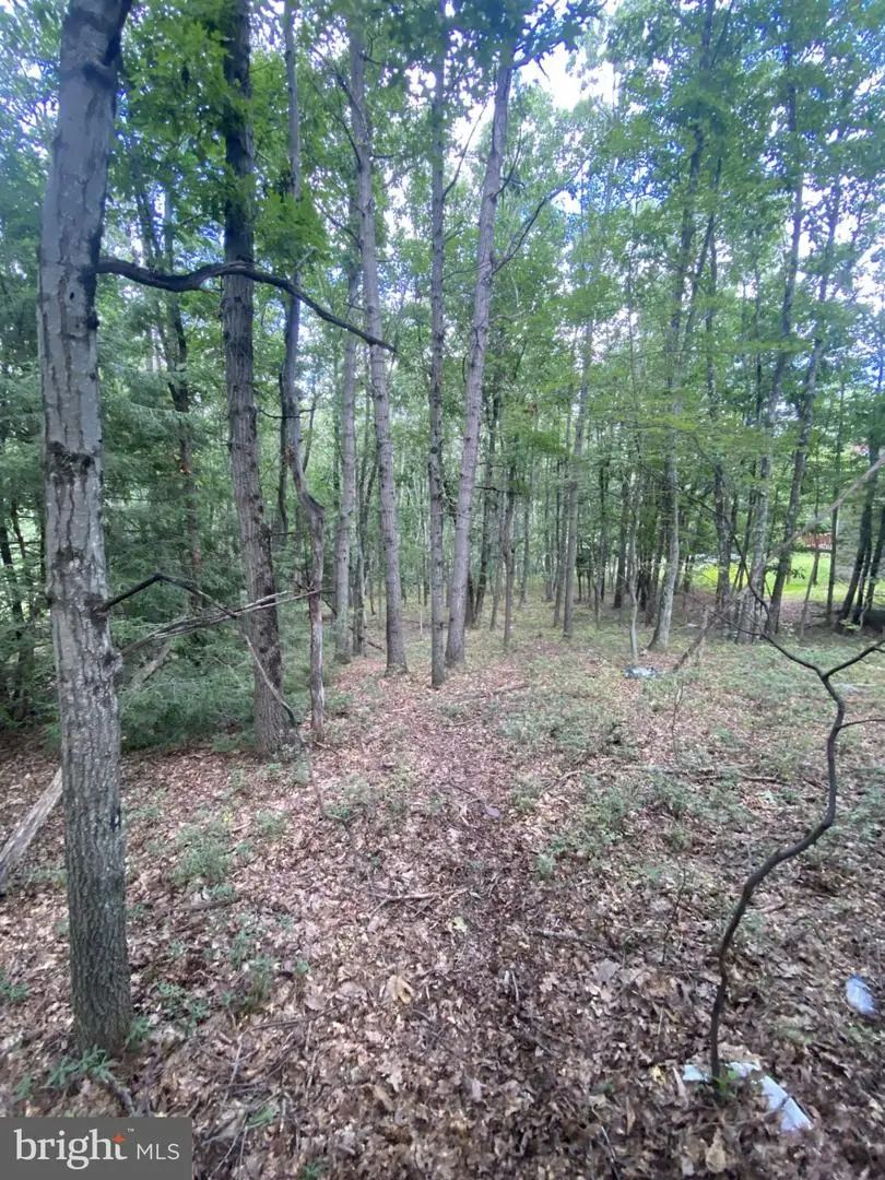 0 Rocky Mountain Dr, Effort, PA 18330 - #2