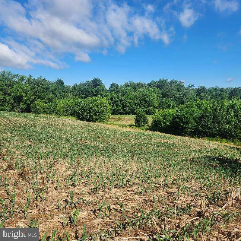 0 Vogt Rd, Milton, PA 17847 - #2