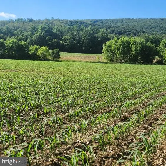 0 Vogt Rd, Milton, PA 17847 - #3
