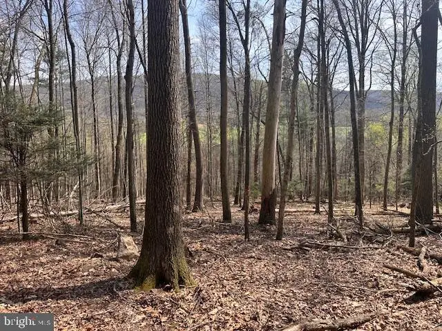 0 Route 225, Shamokin, PA 17872 - #1