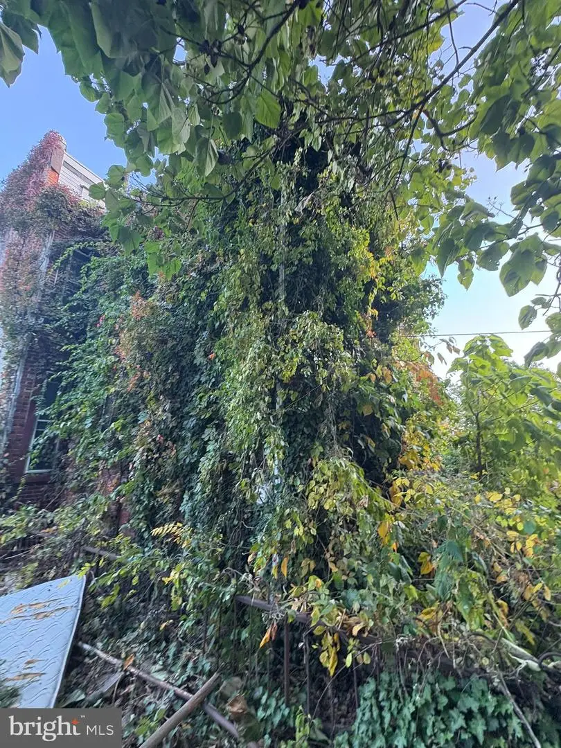 350 N 61st St, Philadelphia, PA 19139 - Image #3