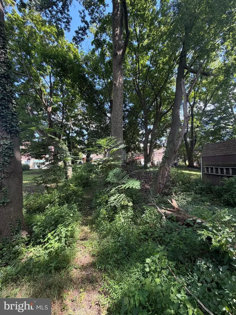 582 Gorgas Ln, Philadelphia, PA 19128 - #2