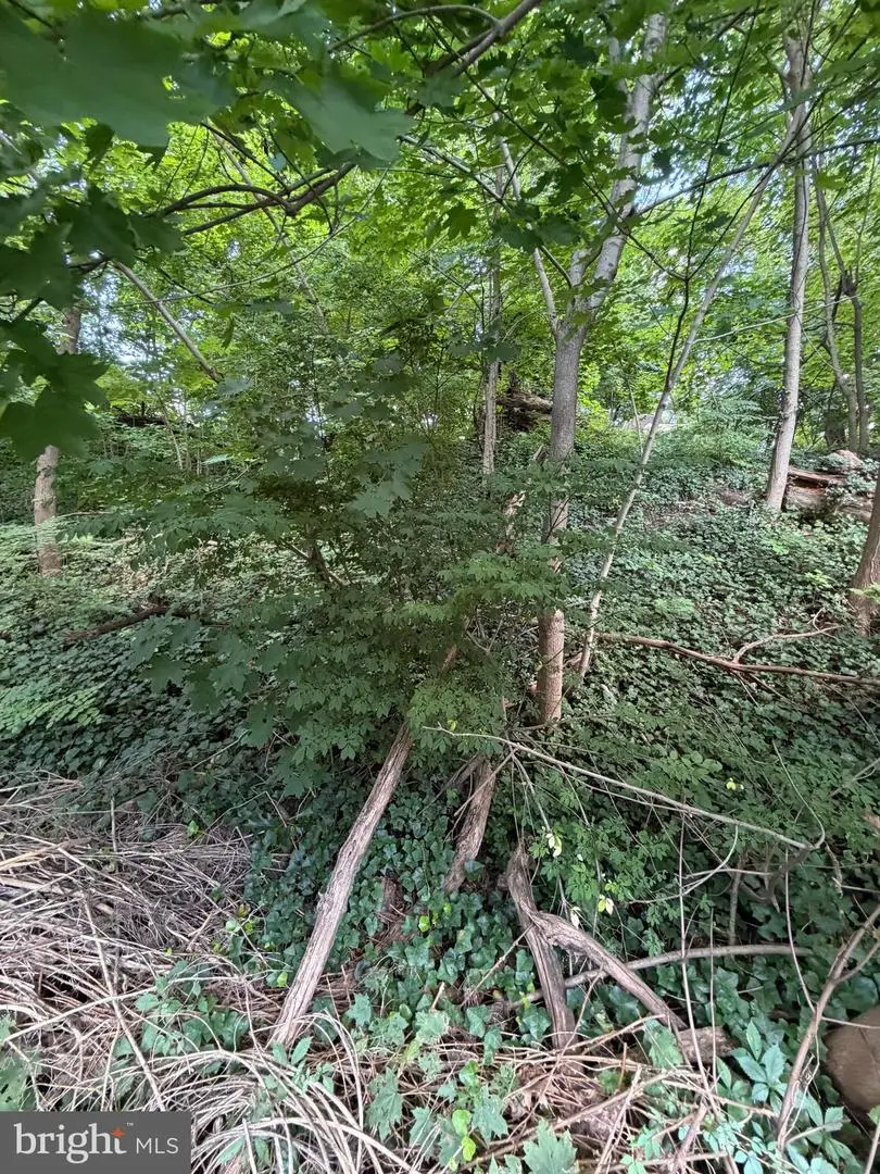582 Gorgas Ln, Philadelphia, PA 19128 - #3