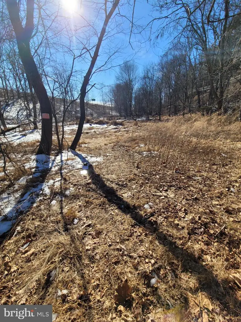 00 Mountain Avenue, Matamoras, PA 18336 - Image #2