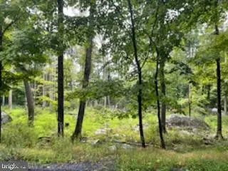 113 Falcon Crst, GREENTOWN, PA 18426