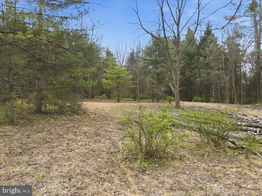 Masthope Plank, Lackawaxen, PA 18435 - #3