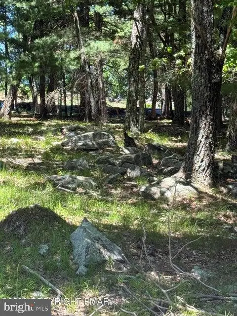 Song Mountain Drive, Tafton, PA 18464 - #1