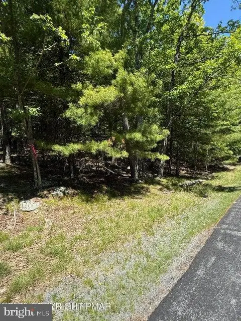 Song Mountain Drive, Tafton, PA 18464 - #2